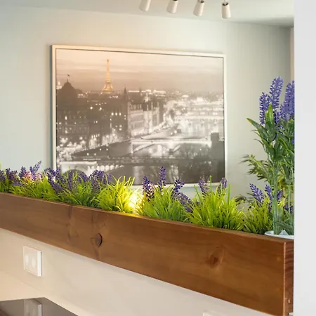 Lägenhet Sohosuites Campello