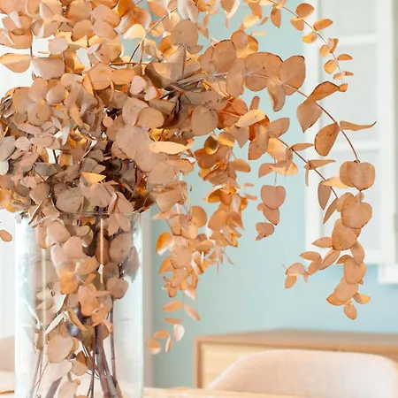 Sohosuites Campello Lägenhet *